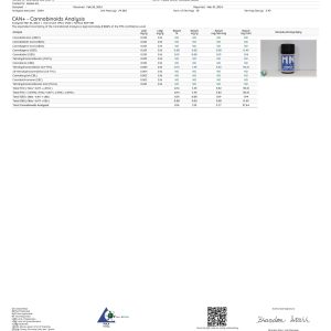 MN First – Blizzard 5mg Gummy