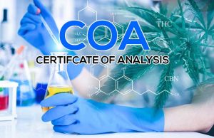 Certificate of Analysis